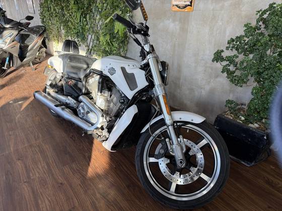 HARLEY-DAVIDSON V-ROD MUSCLE 